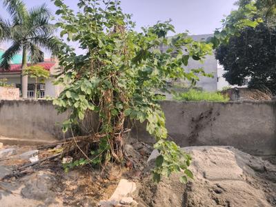 Image of 450 Sq.ft Residential Plot / Land for sale in Gulistanpur, Greater Noida for Rs. 62500000