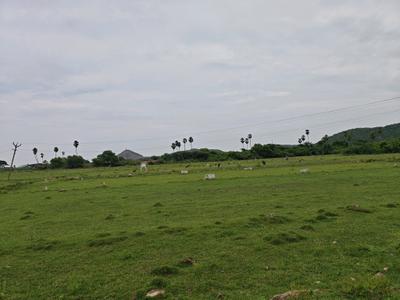 Image of 690 Sq.ft Residential Plot / Land for sale in Singaperumal Koil, Chennai for Rs. 1034311