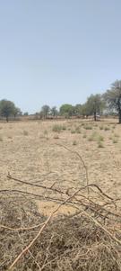 Image of 17424 Sq.ft Residential Plot / Land for sale in Jhalamand, Jodhpur for Rs. 7000000