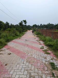 Nest Valley Internal Roads 2