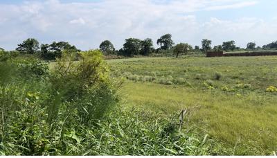 Image of 1200 Sq.ft Residential Plot / Land for sale in Bihta, Patna for Rs. 1558000