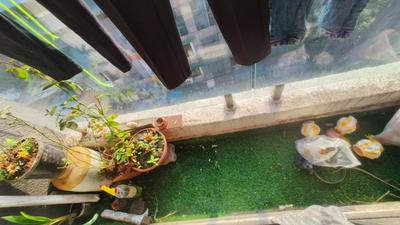 Balcony Image of 650 Sq.ft 1 BHK Apartment / Flat for sale in Kalwa Thane for Rs. 6500000