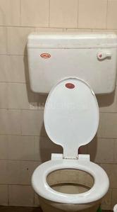 Bathroom Image of 600 Sq.ft 2 BHK Independent House for rent in Vyttila Kochi for Rs. 15300