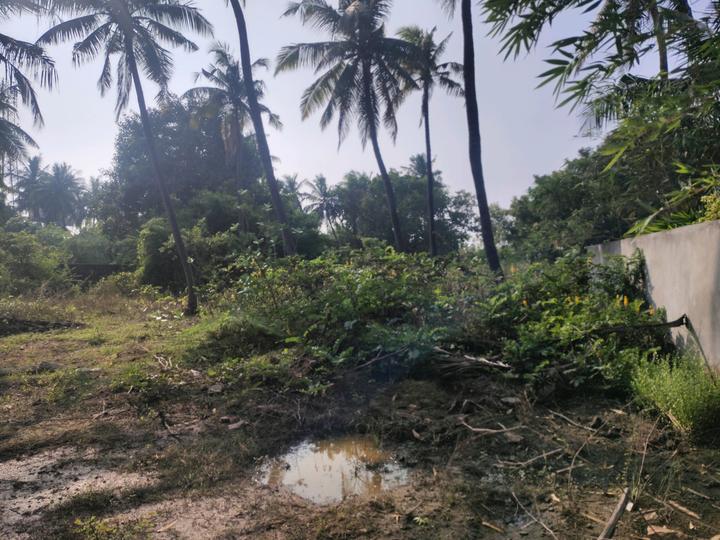 Kovalam Main Image 1