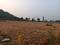 Kandukur Plot View 2