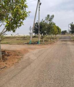 Maratikyatana Halli Plot View 2