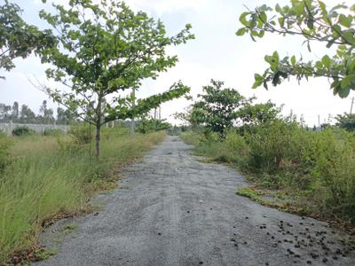 Image of 1200 Sq.ft Residential Plot / Land for sale in Sheikhmanpura, Kolar for Rs. 2998700