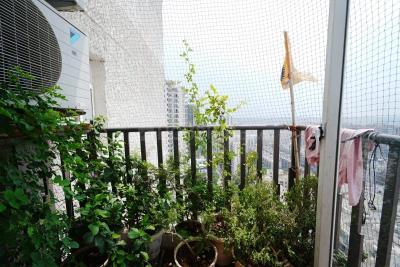 Balcony Image of 1300 Sq.ft 3 BHK Apartment / Flat for sale in Mapsko Mount Ville, Sector 79 Gurgaon for Rs. 19400000