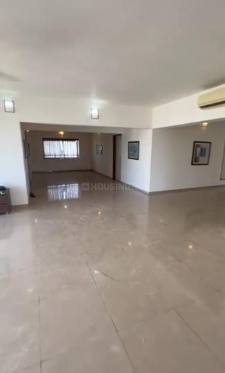 amaya 426 Main Image 1