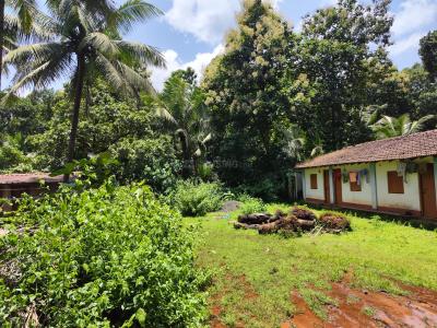 Mardol Plot View 2