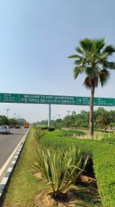Image of 250 Sq.ft Residential Plot / Land for sale in New Chandigarh, Chandigarh for Rs. 24000000