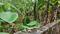 Vennala Main Image 1