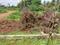 Image of 2000 Sq.ft Residential Plot / Land for sale in Shri Ramanagara, Davanagere for Rs. 5000000