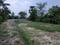 Golden city 2 Plot View 2