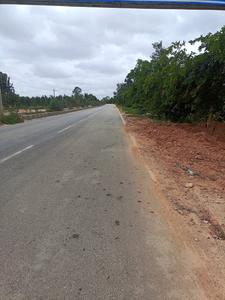 Shri Krishna Oasis Internal Roads 2
