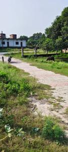 Image of 1000 Sq.ft Residential Plot / Land for sale in Sarnath, Varanasi for Rs. 5000000