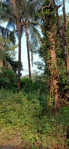 Image of 950 Sq.ft 2 BHK Independent House for sale in Oras Bk., Sindhudurg for Rs. 4000000