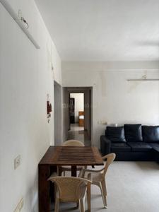 Hall Image of 1840 Sq.ft 3 BHK Apartment / Flat for rent in Navrangpura Ahmedabad for Rs. 45000