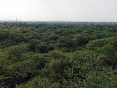 Image of 1200 Sq.ft 3 BHK Apartment / Flat for sale in Vasant Kunj, New Delhi for Rs. 13000000