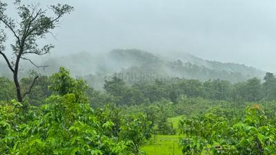 Shirgaon Plot View 3