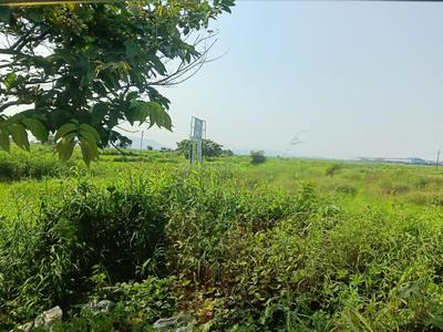 Image of 1089 Sq.ft Residential Plot / Land for sale in Pirkone, Navi Mumbai for Rs. 400000
