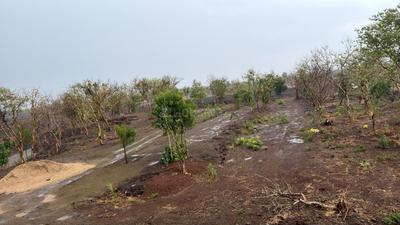 Image of 7000 Sq.ft Residential Plot / Land for sale in Chikhli, Indore for Rs. 3647000