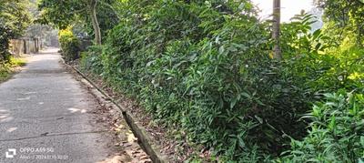 Image of 4320 Sq.ft Residential Plot / Land for sale in Chandannagar, Hooghly for Rs. 3200000