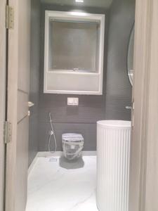 Common Bathroom Image of 4500 Sq.ft 4 BHK Builder Floor for sale in Green Field Colony Faridabad for Rs. 32500000