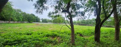 Image of 5000 Sq.ft Residential Plot / Land for sale in Raysan, Gandhinagar for Rs. 200000000