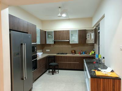 Kitchen Image of 800 Sq.ft 2 BHK Apartment / Flat for rent in Blue Pearl 18 Casita, Baner Pune for Rs. 46000