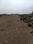 Aditya Dream City Internal Roads 2