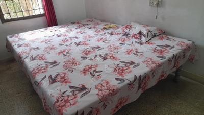 Bedroom Image of 200 Sq.ft 1 RK Studio for rent in Kohefiza Bhopal for Rs. 4500