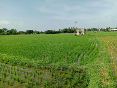Image of 26640 Sq.ft Residential Plot / Land for sale in Sirkali, Mayiladuthurai for Rs. 3516500