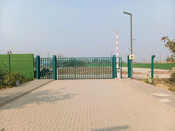 Adani Oyster Greens Main Image 1