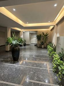 Passage Image of 1080 Sq.ft 1 BHK Builder Floor for rent in DLF Phase 3 Gurgaon for Rs. 40000