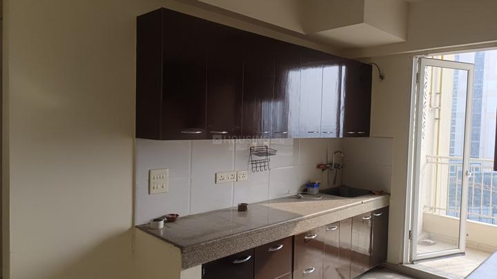 Sam Palm Olympia Main Image 1