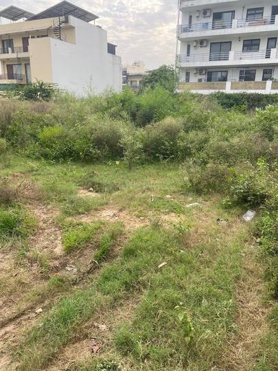 Sector 55 Main Image 1