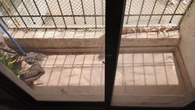 Kitchen Image of 1090 Sq.ft 2 BHK Apartment / Flat for sale in Ulwe Navi Mumbai for Rs. 8500000