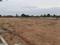 Nandiwanaparthy Plot View 1