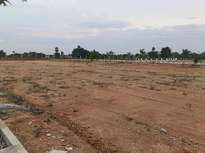 Nandiwanaparthy Plot View 1