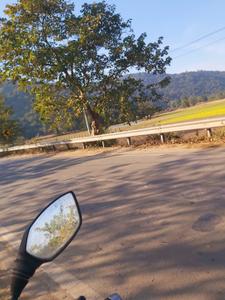 Image of 17280 Sq.ft Residential Plot / Land for sale in Burha Mayang Par, Guwahati for Rs. 6500000
