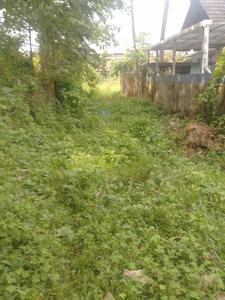 Image of 10890 Sq.ft Residential Plot / Land for sale in Chembukkav, Thrissur for Rs. 25000000