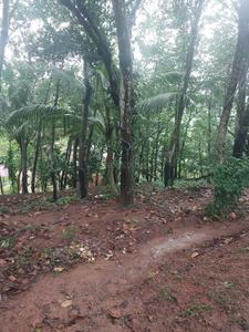 Image of 1335 Sq.ft Residential Plot / Land for sale in Kulasekharam, Thiruvananthapuram for Rs. 16500000