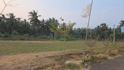Image of 200 Sq.ft Residential Plot / Land for sale in Bhogapuram, Visakhapatnam for Rs. 2950000