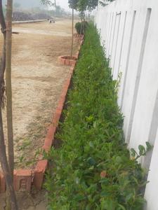 Image of 1000 Sq.ft Residential Plot / Land for sale in Varanasi Cantonment, Varanasi for Rs. 3000000