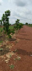 Image of 1000 Sq.ft Residential Plot / Land for sale in Urban Bloom, Changurabhata, Raipur for Rs. 3951000