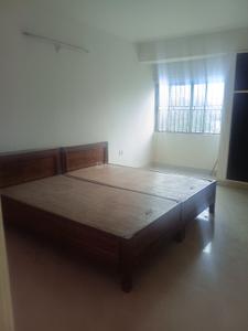 Bedroom Image of 1200 Sq.ft 2 BHK Apartment / Flat for rent in Morabadi Ranchi for Rs. 12000