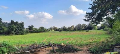 Image of 87120 Sq.ft Residential Plot / Land for sale in Ranga Reddy, Shankar palle mandal, Hyderabad for Rs. 32000000