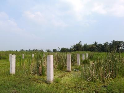 Image of 2880 Sq.ft Residential Plot / Land for sale in Nest Valley, Joka, Kolkata for Rs. 600500