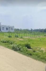Phase 1 Plot View 2